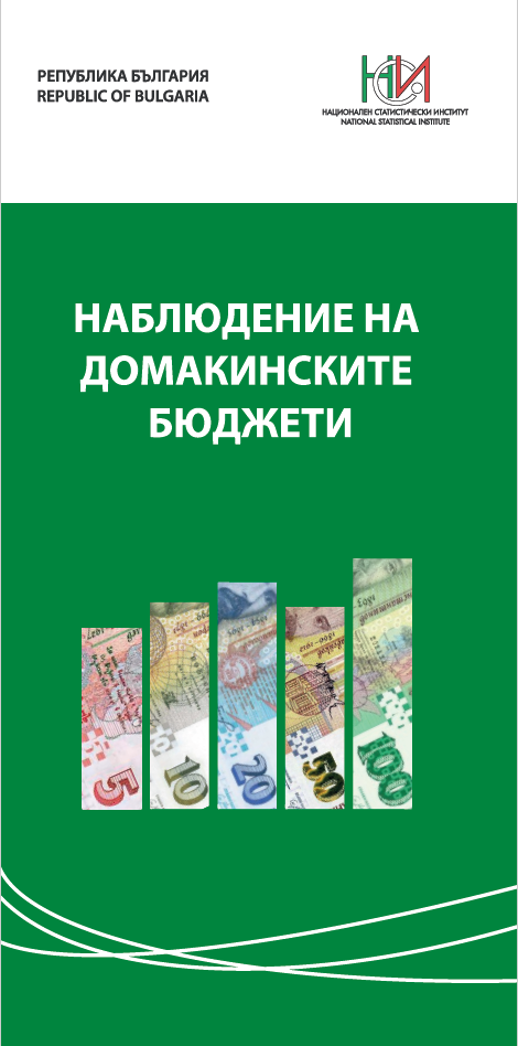 The leaflet "Household Budget Survey"