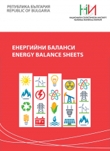 Energy Balance Sheets 2021