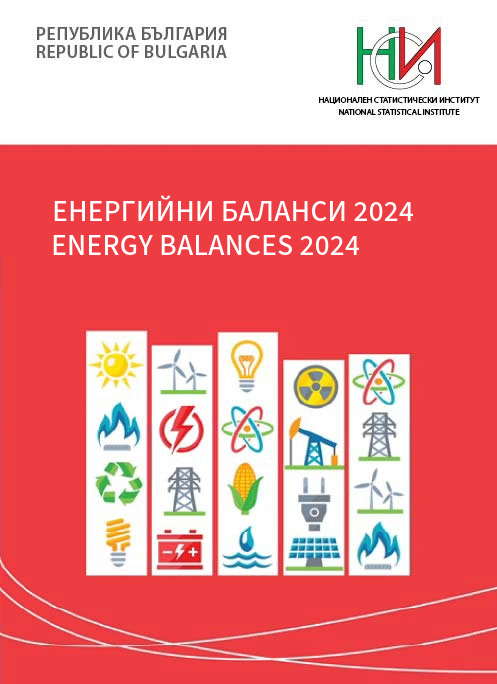 Energy Balances 2024