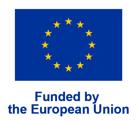 ‘2024 EU-LFS eight-yearly variables on ‘young people on the labour market’ and ‘educational attainment, including education interrupted or abandoned’ project