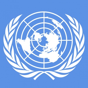 NSI will participate in the forty-sixth session of the United Nations Statistical Commission