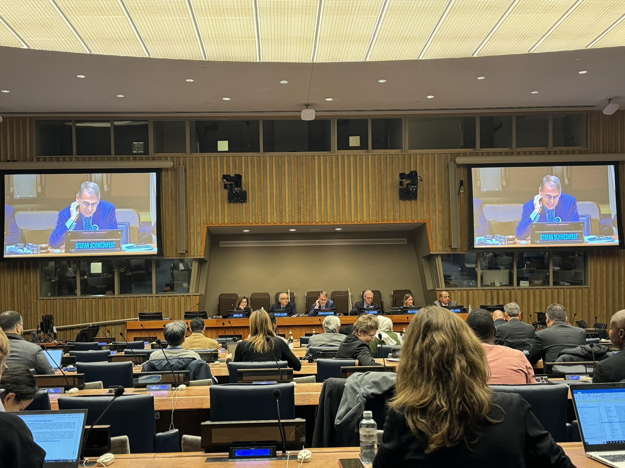The President of the National Statistical Institute participated in a session of the UN High-Level Group on Partnership for Sustainable Development