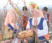 Trifon Zarezan