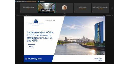 The Deputy President of the NSI participated in the 72nd plenary meeting of the Committee on Monetary, Financial and Balance of Payments Statistics