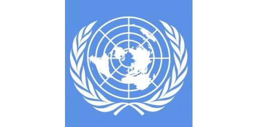 President of NSI will participate in the 44th session of UN Statistical Commission