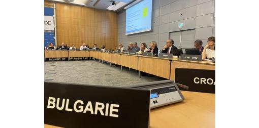 The President of NSI took part in the 20th meeting of the Committee on Statistics and Statistical Policy