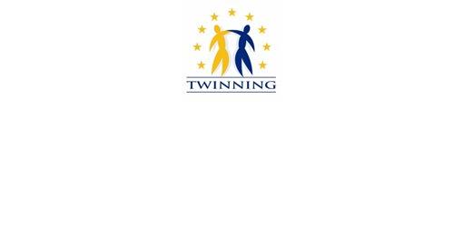 Participation of a delegation of the NSI in the final meeting on Twinning project in the former Yugoslav Republic of Macedonia