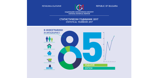 Statistical Yearbook 2017 in infographics