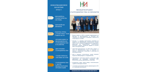 Electronic newsletter on the international activity of NSI in 2024