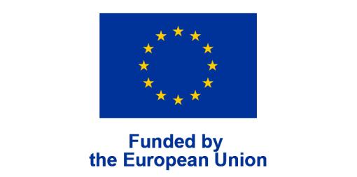 ‘2024 EU-LFS eight-yearly variables on ‘young people on the labour market’ and ‘educational attainment, including education interrupted or abandoned’ project