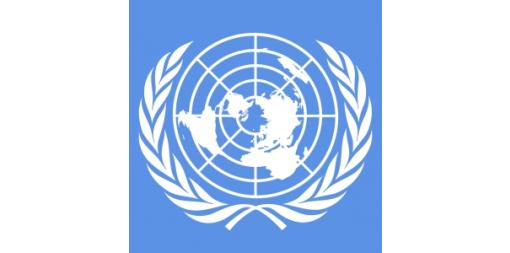 NSI will participate in the forty-sixth session of the United Nations Statistical Commission