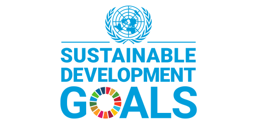 NSI’s President participated in a session of а High Level Group to the United Nations Statistical Division