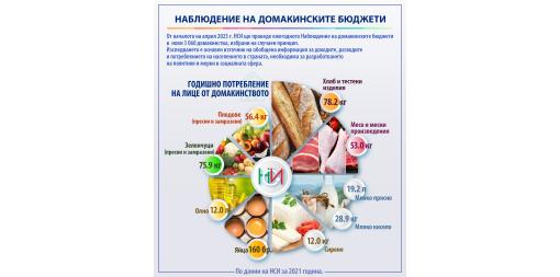 The National Statistical Institute will conduct a Household Budget Survey in new households