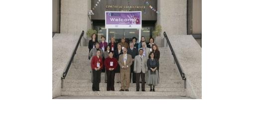 Meeting of the Friends of the Chair of the United Nations Statistical Commission on Statistical Indicators on Violence against Women
