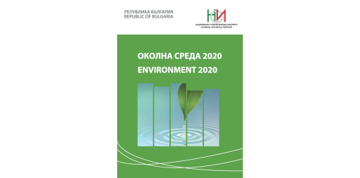 Environment 2020