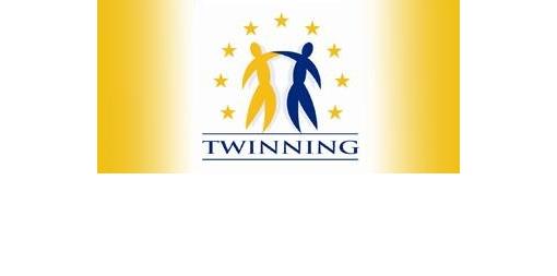 For the second time the NSI will train Azerbaijan in Twinning project