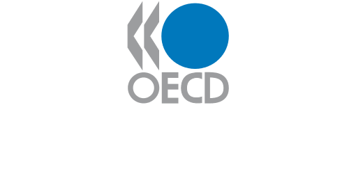 NSI actively develops cooperation with the OECD