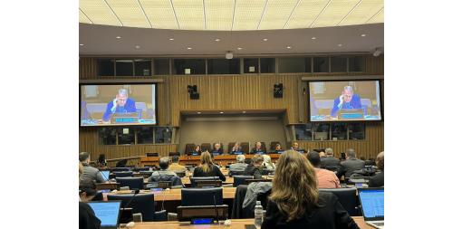 The President of the National Statistical Institute participated in a session of the UN High-Level Group on Partnership for Sustainable Development