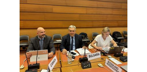 The use of geospatial data was the main topic of the 72nd plenary session of the Conference of European Statisticians