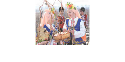 Trifon Zarezan