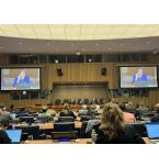 The President of the National Statistical Institute participated in a session of the UN High-Level Group on Partnership for Sustainable Development